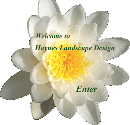 Welcome to Haynes Landscape Design